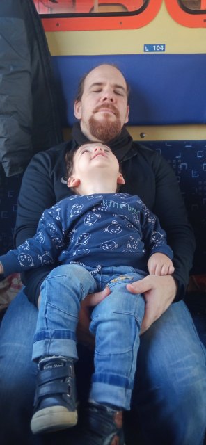 A wiking család